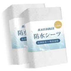 Item thumbnail for item 0c987307-e3eb-4942-9e2c-5b8483ee9b8a