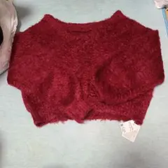 INGNI　クロップドニット