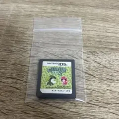 お茶犬の部屋DS2 DS ソフト