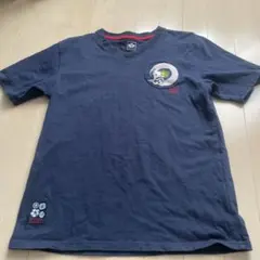 Item thumbnail for item 79c4212d-5a09-48c0-8199-411faaedb404