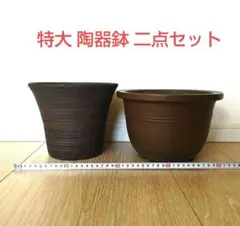 ytyf ceramics 貴重な鉢5点セット検)カタチ製作所 バリエム 作家鉢 2026年最新】Yahoo!オークション -valiem鉢の中古品・新品・未使用品一覧