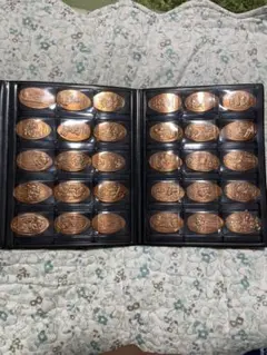 ディズニー　スーベニアメダルセット