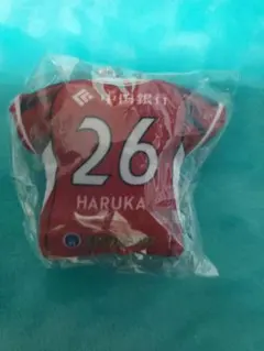 ファジアーノ岡山　本山遥選手　ユニフォームクッションキーホルダー
