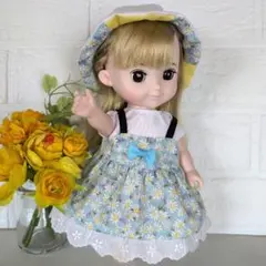 ワケアリ　メルちゃんワンピース738のサムネイル
