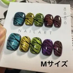 【セツ】マグネット　しまうま柄　現品ネイルチップ　付け爪(A1540)