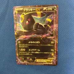 ブラッキーEX RR XY10 めざめる超王 042/078 1 - メルカリ