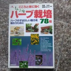 Item thumbnail for item 811b1d69-984b-4eab-9e75-a4edadf1474a