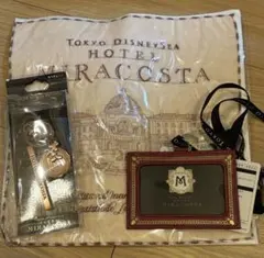 ディズニーリゾート　ミラコスタ　パスケース　キーチェーン　ハンカチ