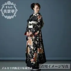 振袖セット 黒地に舞蝶 桜 金駒刺繍