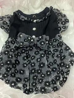 2026年最新】Thefancysの人気アイテム - メルカリ