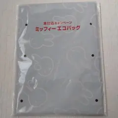 Item thumbnail for item 4ff981ed-c7be-4e23-a587-1844edac433e