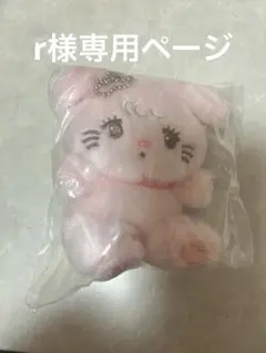 r様専用ページ キャミー