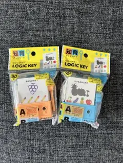 ロジックキー　 知育クイズカード　2個セットのサムネイル