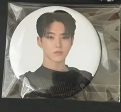 SEVENTEEN Follow to Japan 缶バッジ ホシ