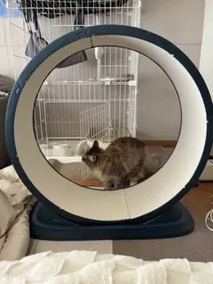 Item thumbnail for item 05739a0e-9a57-4791-9dc8-b4e0b49a332d