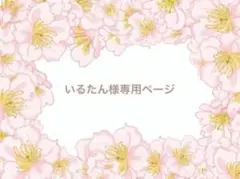 いるたん様専用⭐️ クレイケーキ*春を呼ぶミモザ