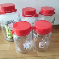 果実酒瓶 5個セット 8L 2L 3L ガラス瓶 保存容器のサムネイル
