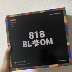 BIGBANG MADE 韓国限定盤 G-DRAGONフォトブック 希少 BIGBANG MADE 韓国限定盤 G-DRAGONフォトブック 希少 BIGBANG MADE