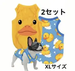 Item thumbnail for item 85ac3b6a-dd5a-4b4a-ace9-b4bbaf24eb59