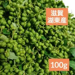 2026年最新】花山椒 100gの人気アイテム - メルカリ