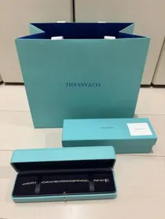 TIFFANY&CO. ブレスレット　ハードウェア マイクロリンク ブレスのサムネイル