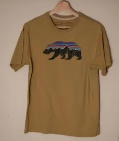 Patagonia オーガニックコットン Tシャツ パタゴニア