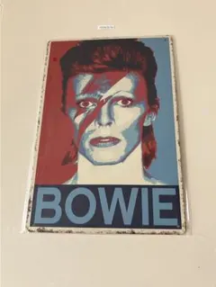 David Bowie デヴィッド・ボウイ ブリキ看板 インテリア