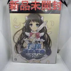 ◯神様と運命革命のパラドクス 初回限定版 新品未開封
