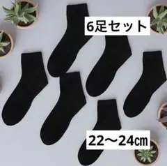 お買得❣️ ブラックソックス 6足セット レディース 黒 薄手　22〜24cm ✨