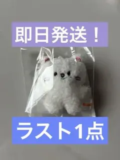 5'clock マイクロキーリング ヒョンジン ジニレット ペンミ スキズ