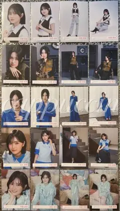 的野美青 Lonesome rabbit KAZOKU 20種コンプ 生写真 - メルカリ