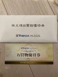 YAMADA HDGS お買物優待券 500円×10枚 5000円分