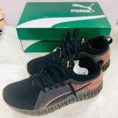 Item thumbnail for item f8633a49-31c7-4807-8b32-3d9c164eede9