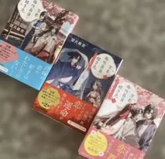 Item thumbnail for item de4527fd-3e35-4b3b-bc92-4af5a7d320cc