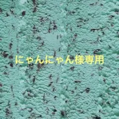 にゃんにゃん様専用