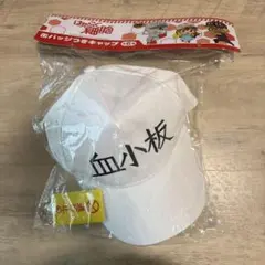 神聖かまってちゃん 神ヘルメット の子 激レア 非売品 - メルカリ