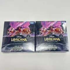 ロルカナ フラッドボーンの混沌 2BOX シュリンク付きのサムネイル