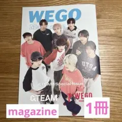&team WEGO マガジン - メルカリ