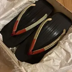 Item thumbnail for item 81c5da13-9d52-4757-bec7-eb514a561667