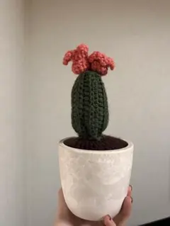 ハンドメイド 編み物サボテン インテリア 多肉植物風 フラワー