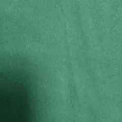 フリース 緑色
