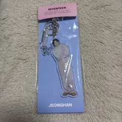 SEVENTEEN JEONGHAN アクリルキーリング　ジョンハン