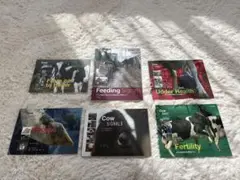 Cow Signals セット