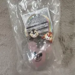 【限定】東京ディズニーリゾート ディズニーランド　チップとデール グミケース