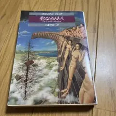 聖なる侵入