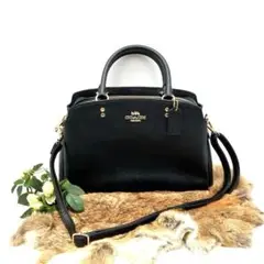【極美品】最終値下げ　COACH コーチ リリーキャリーオール　2way レザー