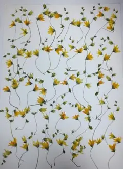 みー様 リクエスト 4点 まとめ商品