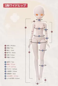 と*様 tinyfox peko体 xs胸 公式色移り防止服付き mdd 1/4 - メルカリ