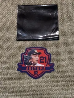 元阪神タイガース　秋山拓巳投手　ワッペン