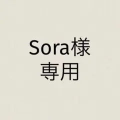 Sora様 リクエスト 2点 まとめ商品